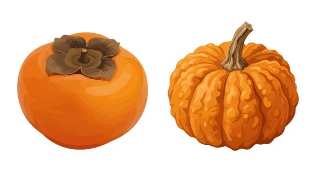 A vector illustration of a persimmon and a pumpkin side by side on a table indoors