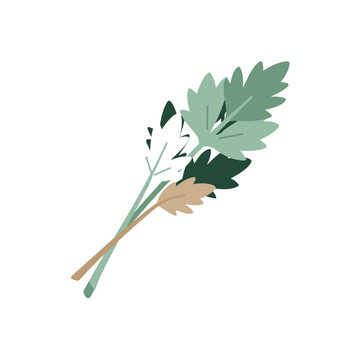 Fresh Lovage Cutting Botanical Sticker
