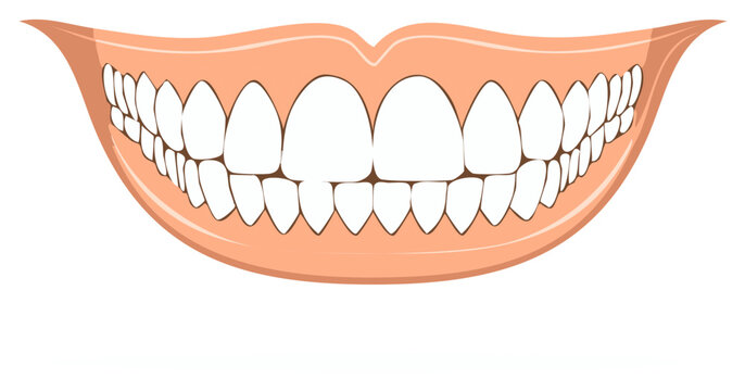 Illustration of Smiling Mouth with Healthy White Teeth and Gums
