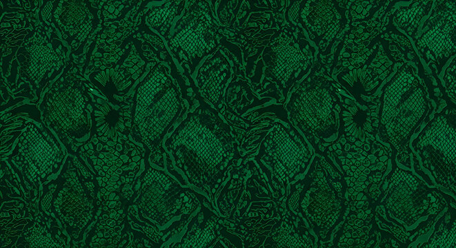 Dark green snake skin pattern seamless texture abstract reptile scales background