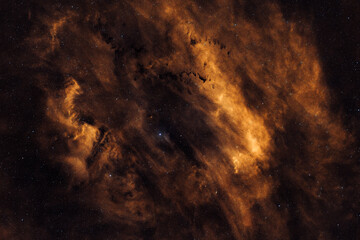 An astrophotography image of the Sh2-119 emission nebula reveals orange gas clouds and dust filaments scattered across a dark, star-filled night sky. © Oleksii