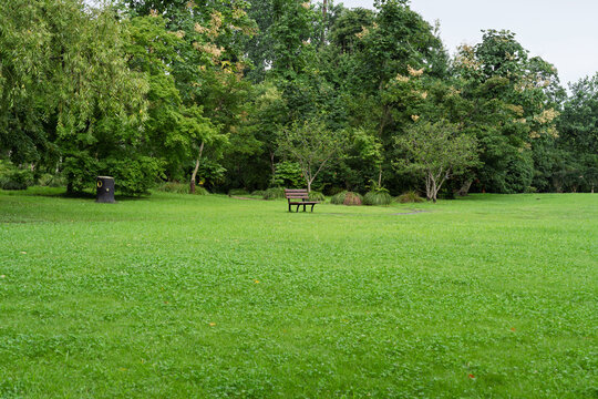 Empty park bench on green lawn after rain