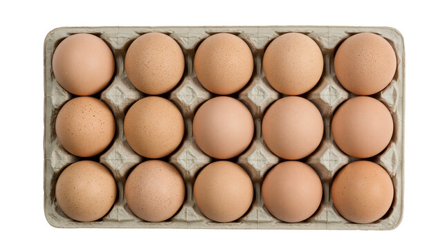 Twelve brown eggs in cardboard carton