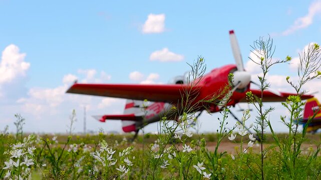 Red airplane in a wildflower field.