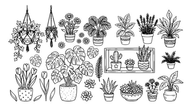 Hand Drawn Indoor Houseplants Collection in Decorative Pots Botanical Home Decor Vector Illustration Set