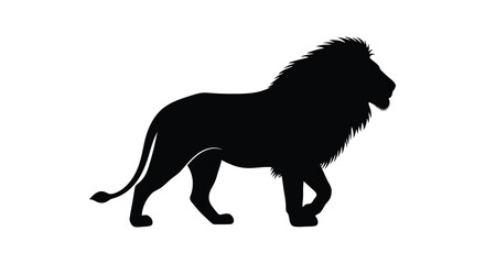 Standing male lion with a full mane a black silhouette feline © sanu