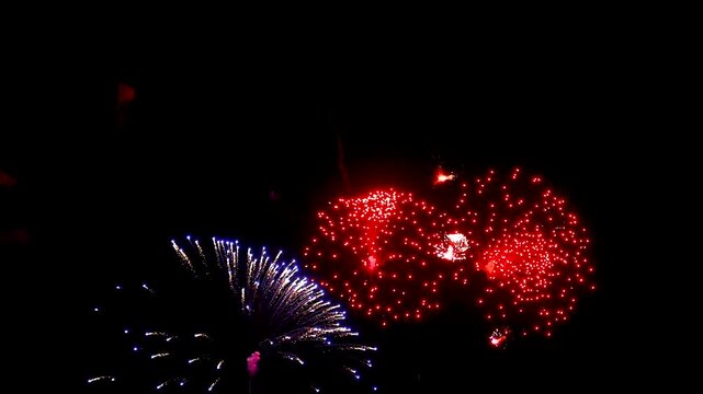 Colorful fireworks in the night sky.