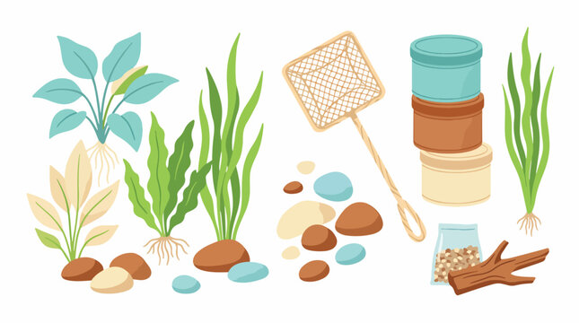 Aquatic plants and fishkeeping tools illustration.