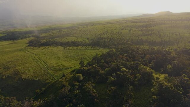 Aerial view of Pu'u O Umi Natural Area Reserve with rolling green hills, dense forest patches, and misty atmosphere under golden hour light in Waimea, Hawaii, United States.