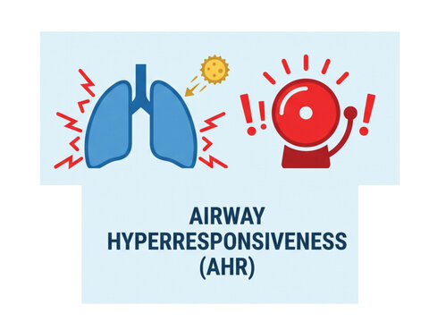 Airway hyperresponsiveness is depicted through a blue lung graphic being triggered by an external stimulus and an alarm symbol to represent the overreaction of the respiratory system in patients.