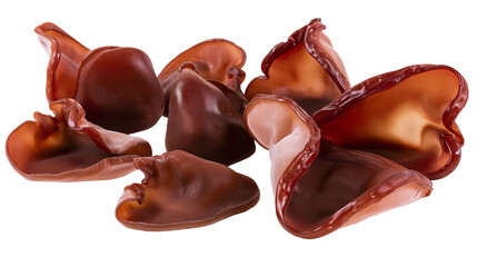 Wood ear mushrooms group edible fungus dark brown, gelatinous texture © Elena