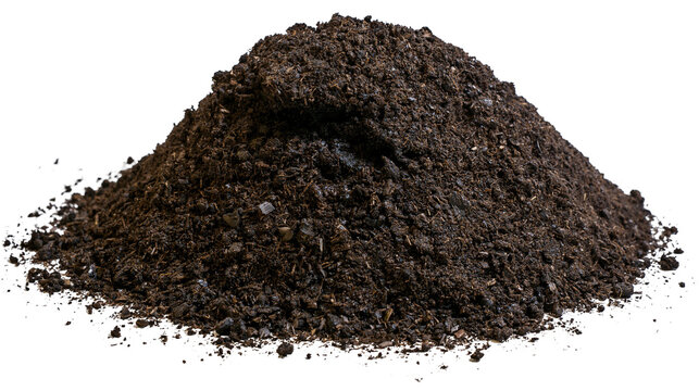 Pile of dark organic soil with visible texture