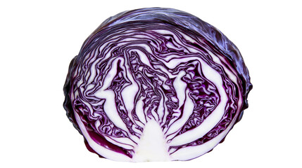 Fototapeta premium Red cabbage half cut showing vibrant purple and white layers