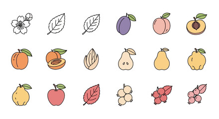 Fototapeta premium Hand-drawn fruit icons and illustrations: berries, apple, pear, plum, peach, apricot, quince, flower, leaves