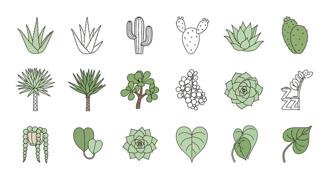 Hand-drawn succulent and cactus illustrations, various potted plants, vector art