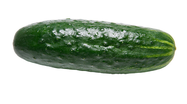 Green bumpy cucumber with water droplets