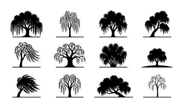 Weeping Willow Tree Silhouettes, Diverse Styles and Forms, Vector Collection for Nature and Landscape Design