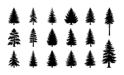 Obraz premium Diverse Pine Tree Silhouettes, Evergreen Conifer Vector Icons, Forest Woodland Elements, Nature Graphics Collection