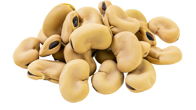 Pile of dried fava beans with dark seeds