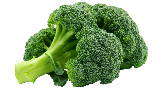 Fresh green broccoli florets and stem