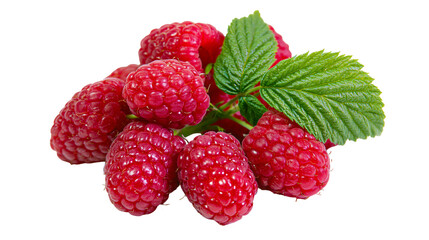 Fresh red raspberries with green leaves © Carmen