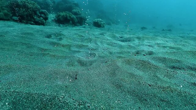 Underwater tracking shot above a natural methane seep at Bubble Beach, showcasing gas bubbles emerging from geological faults in clear tropical waters.