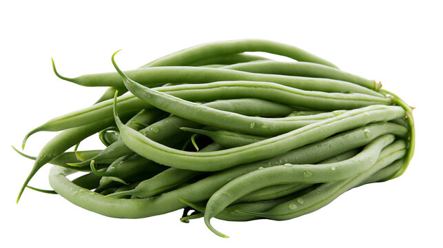 Heap of fresh green beans with water droplets
