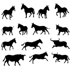 Obraz premium Equine set with twelve black silhouette illustrations arranged in a grid pattern featuring donkeys, mules, bulls with dynamic poses and minimalist vector style