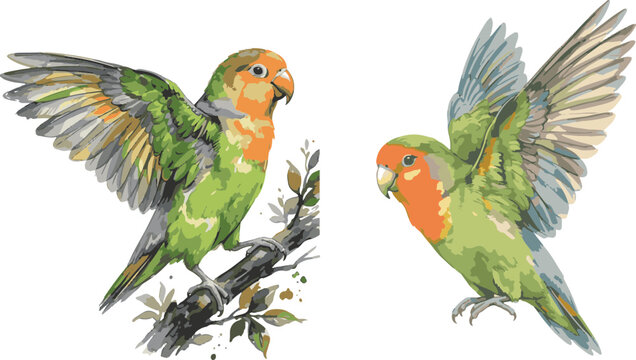 Two green lovebirds on a branch and flying watercolor illustration lovebird watercolor illustration wildlife painting tropical transparent background isolated colorful