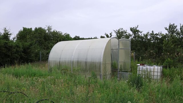 Horizontal view of empty backyard greenhouse surrounded by tall grass and wild plants showing small scale gardening sustainable food growing and rural life