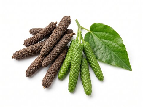 Dried Long Pepper (Piper longum) Pippali Spice Isolated on White Background Ayurvedic Herb