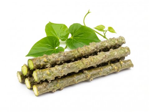 Guduchi Giloy Stem Tinospora cordifolia Isolated on White Background Ayurvedic Herbs