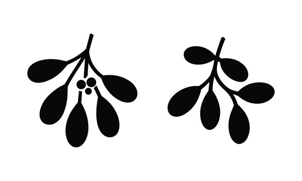 Minimalist black silhouette design of mistletoe sprigs for winter season.