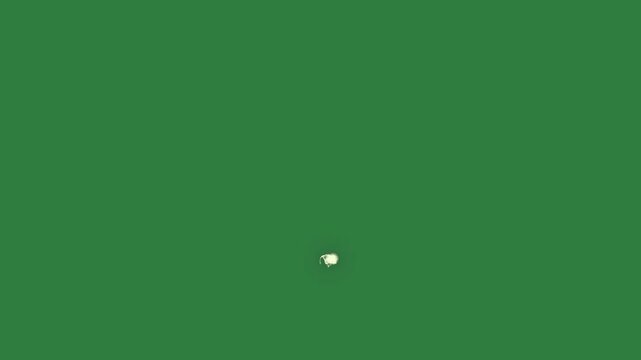 The word ticket on it and green screen motion design cartoonish frame