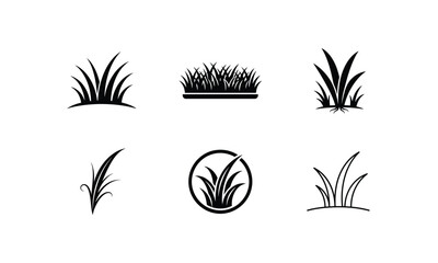 Fototapeta premium Black grass icons set, nature plant botanical elements.