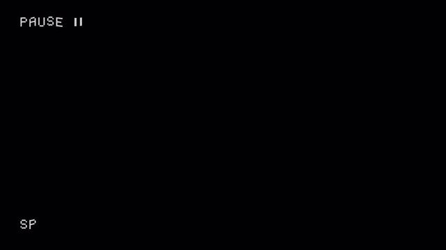 VHS Pause Screen Animation with SP Indicator and Analog TV Static