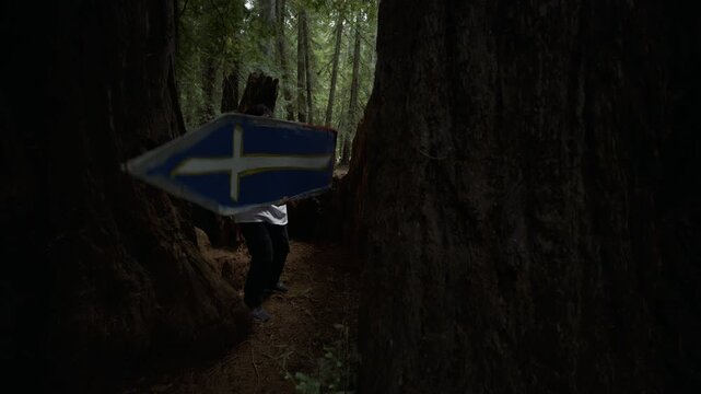 Man Expertly Spinning Painted Board Between Giant Redwood Trunks - Tilt, Low Angle