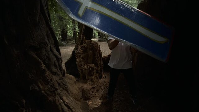 Silhouetted Man Spinning Painted Board Between Giant Redwood Trees - Tilt Shot