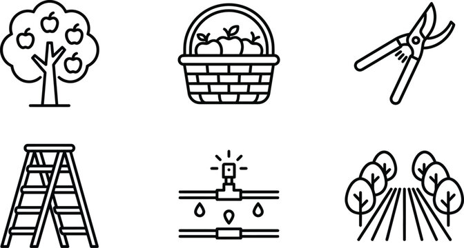 Fruit orchard pomology icons with apple tree and basket