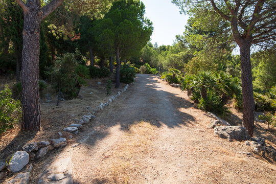 Parco Monte Catalfano (mount Catalfano park) in the province of Palermo, Sicily