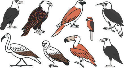 Fototapeta premium Collection of various bird species including eagles, hawks, and a flamingo depicted in a flat style on a white background