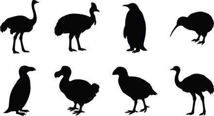 Obraz premium Flightless Bird Silhouette Vector Collection with Penguin, Kiwi, Ostrich and Large Ground Birds