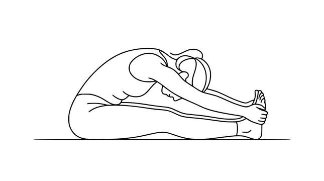 Woman practicing yoga stretching forward bend pose, Paschimottanasana, line art