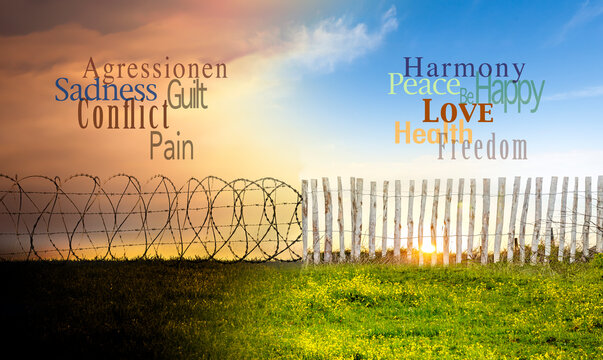 Konflikt und Frieden dargestellt an einem Stacheldrahtzaun und gr&uuml;nem Feld in einer Landschaft