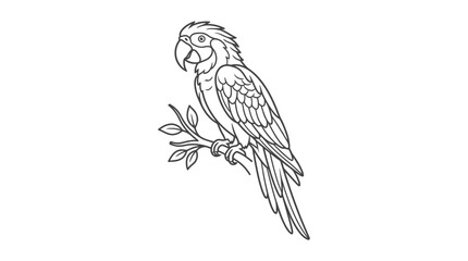 Macaw Parrot Line Art Vector Illustration © KOKO
