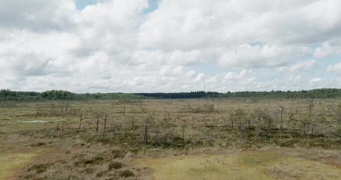 Valkmusa National Park, is an unusually diverse oasis of bog nature, in cloudy summer weather, aerial view, Pyht&auml;&auml;, Finland, Europe.