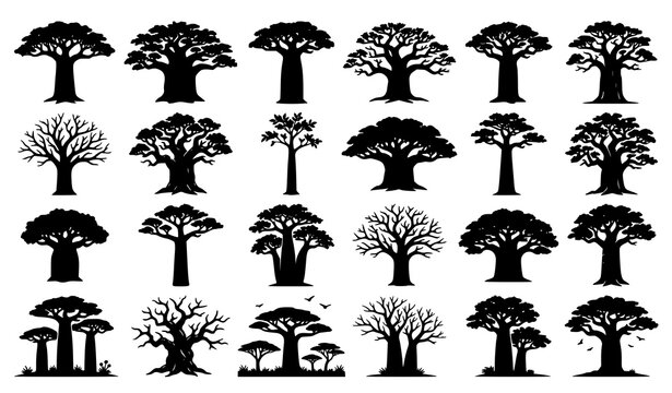 African Baobab Tree Black Silhouette Vector Collection Safari Nature Design Elements