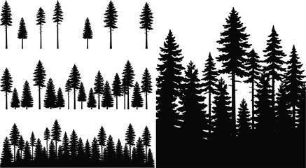 Set of pine tree silhouettes and coniferous forest borders for landscape design © razia