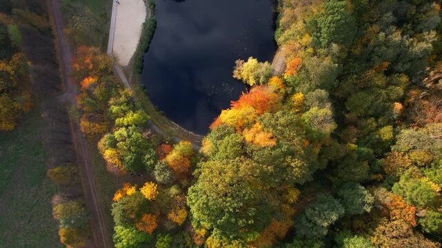 Top down aerial shot of a drone flying diagonally at a constant altitude over autumn park lake in Lower Silesia, Poland. Yellow, green and orange treetops surrounding dark water with clouds reflection
