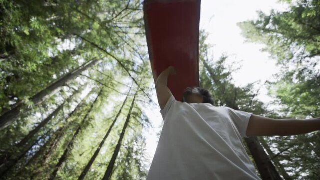 Man Lifting Red Sign Overhead in Redwood Forest - Low Angle